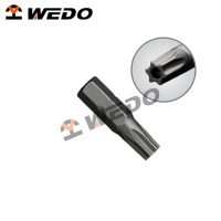 1/4" Tamper Proof Torx Bits